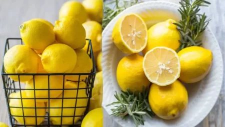 Limon Diyeti ile Haftada 2 Kilo Zayıflayın